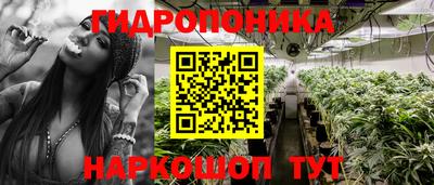 спайс Ливны