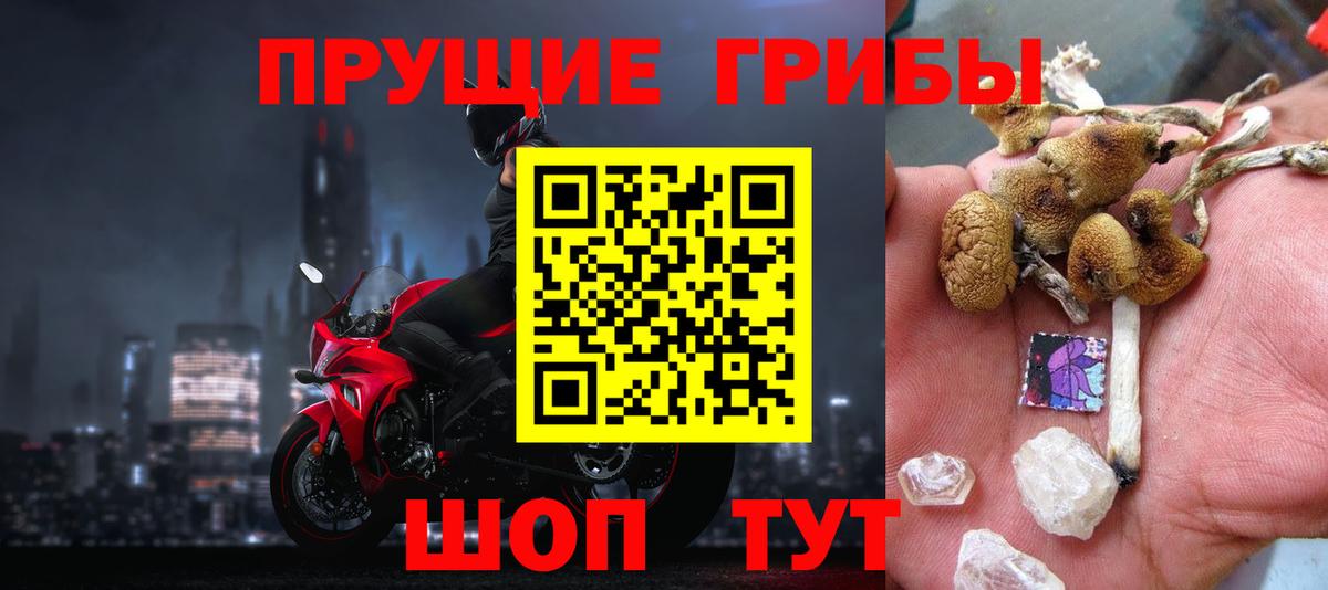 Шатура  Псилоцибиновые грибы прущие грибы  Вход с VPN 